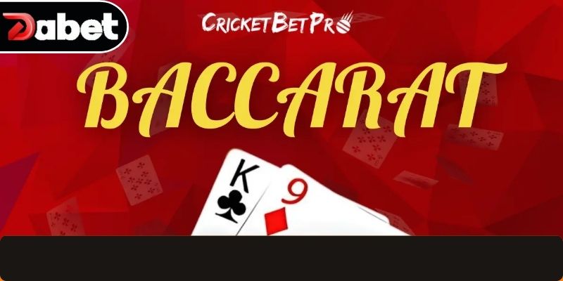 Thành viên đang quan sát biểu đồ trên màn hình